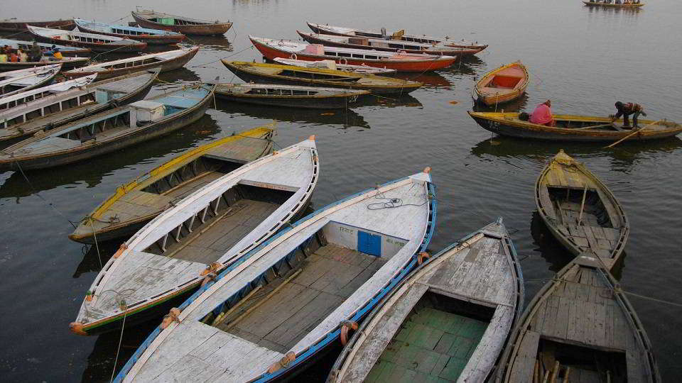 Morning Boat Tour